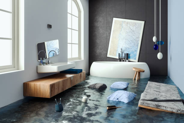 Best Basement water damage restoration  in Plummer, ID