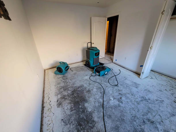 Best Water damage restoration services  in Plummer, ID