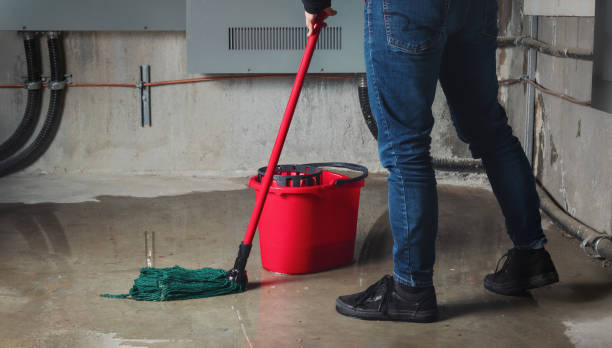 Best Emergency water damage restoration  in Plummer, ID