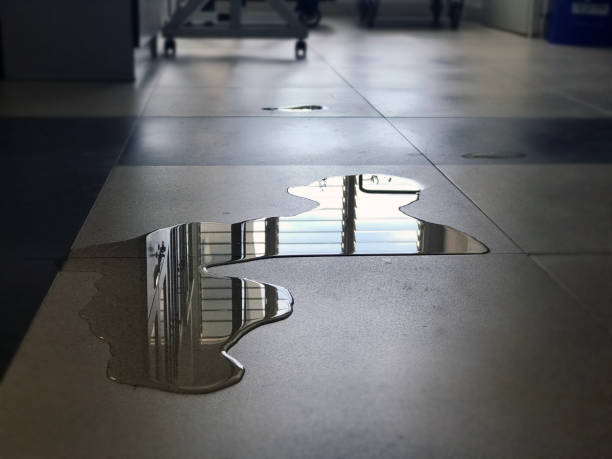 Best Water damage restoration near me  in Plummer, ID
