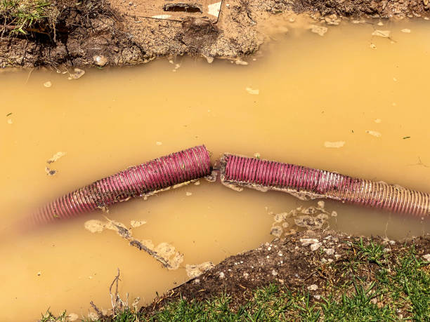 Carpet water damage restoration in Plummer, ID