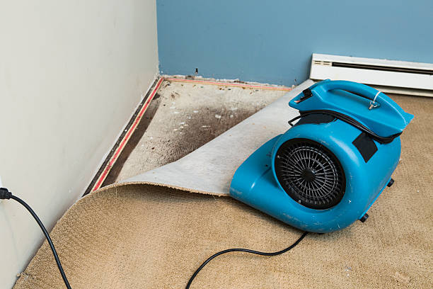 Best Commercial water damage restoration  in Plummer, ID